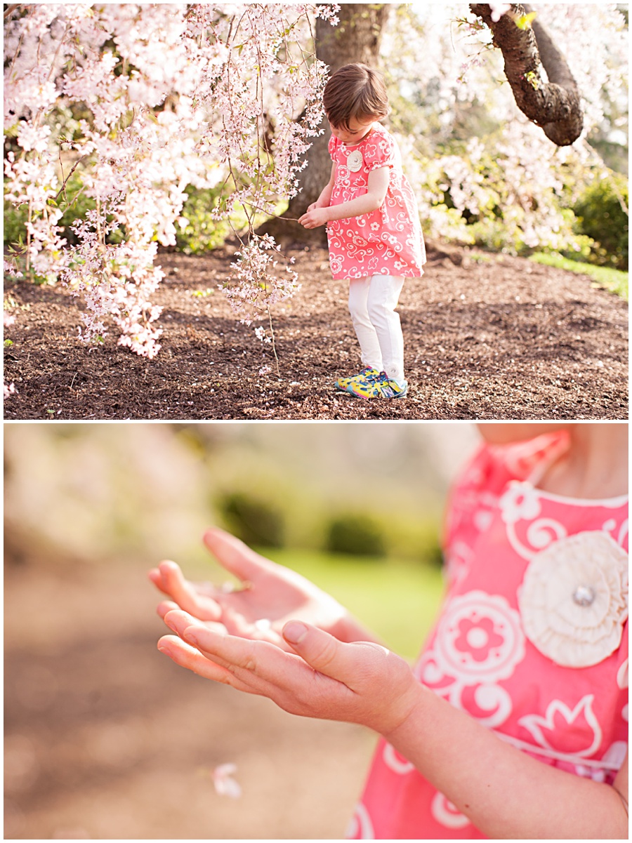 national cathedral park photo session