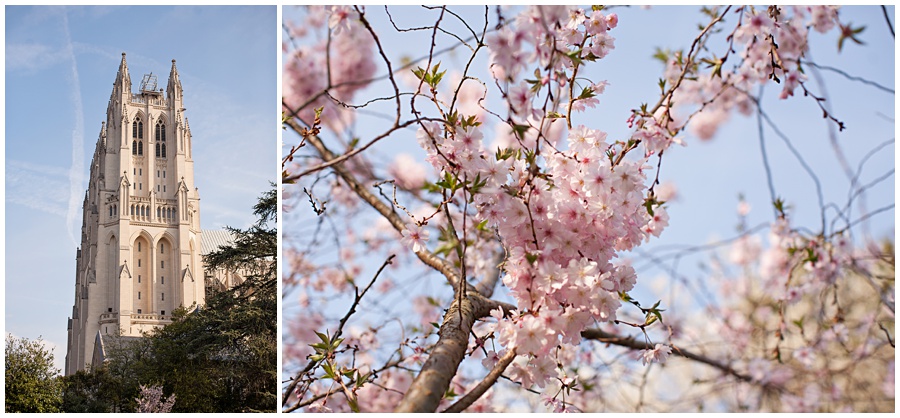 national cathedral park photo session