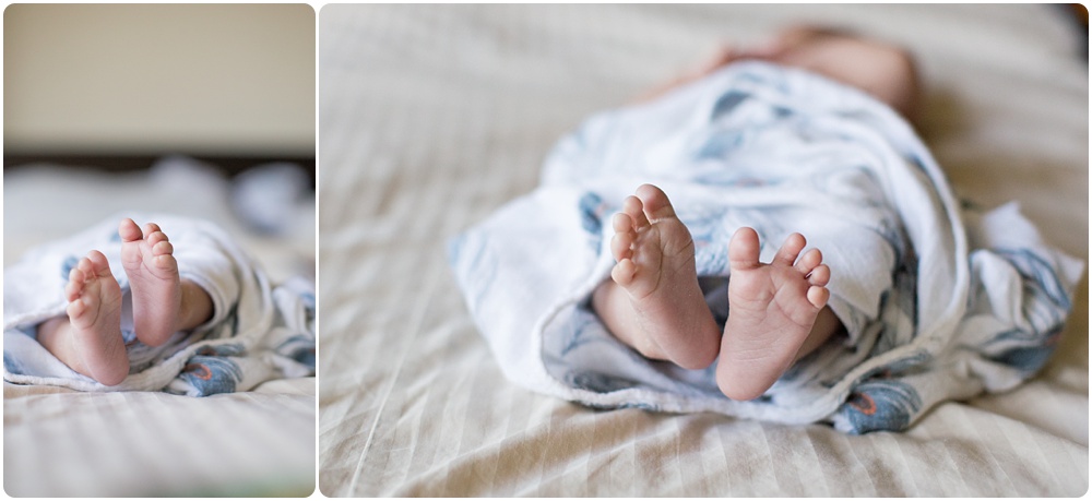 lifestyle newborn Kelly walsh loss photography
