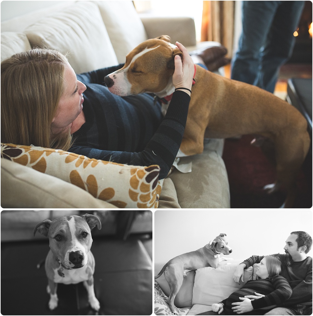 dog kissing pregnant woman