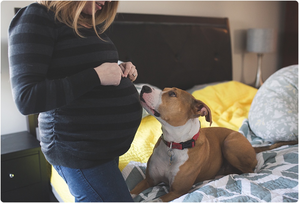 dog kissing woman's belly