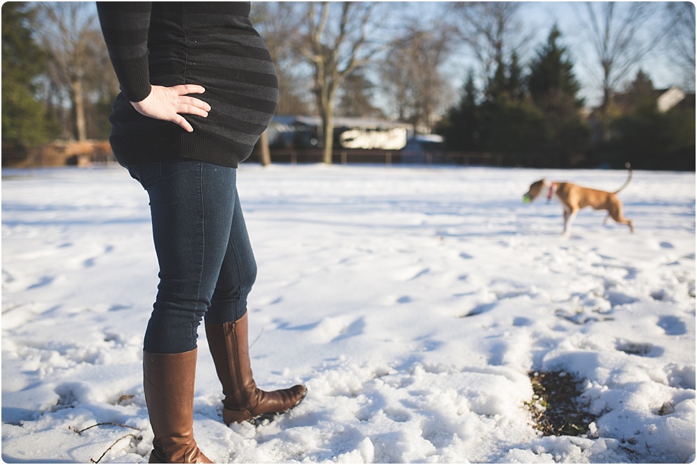 pregnant belly and dog