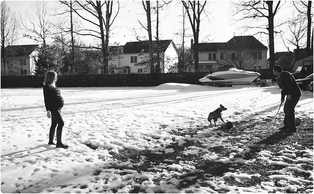 dog playing in big yard