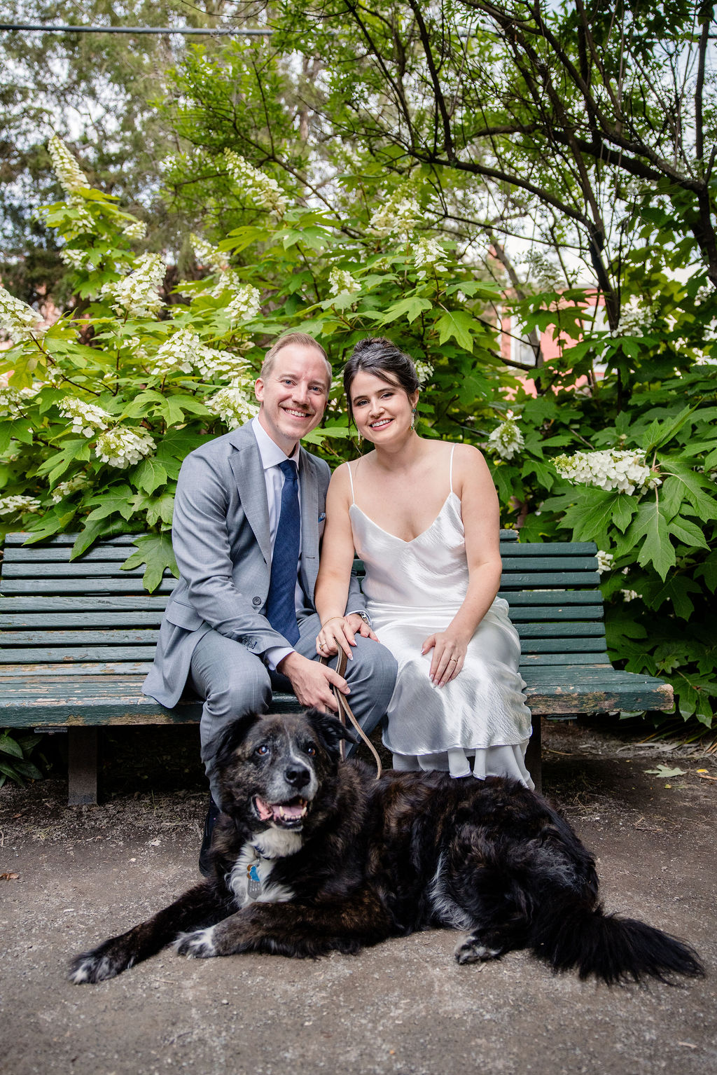 a couple sitting on a park bench together on the day of their wedding with their dog 