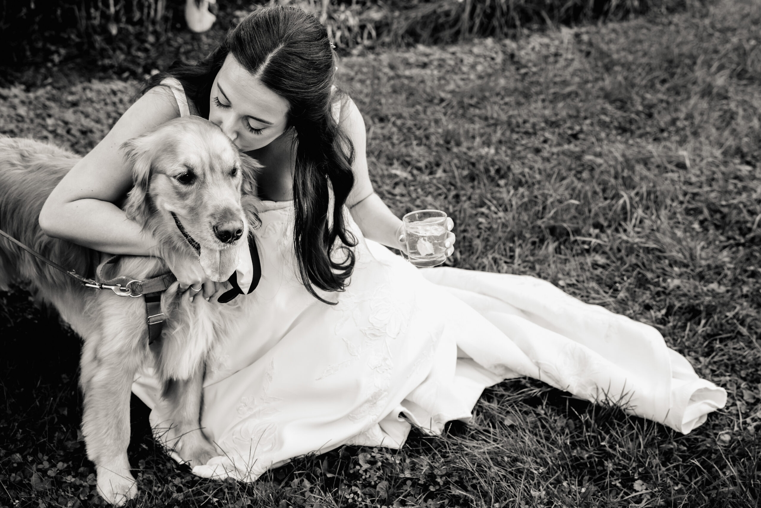 a bride kissing her golden retriever in the grass