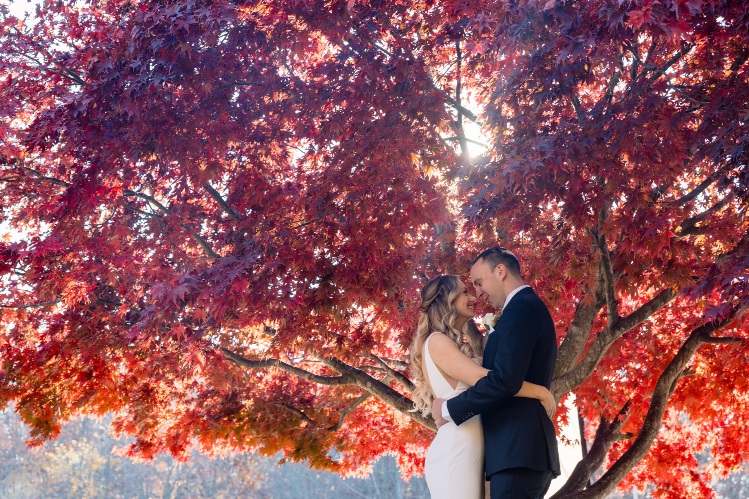 a bride and groom embracing underneath a tree with fall foliage