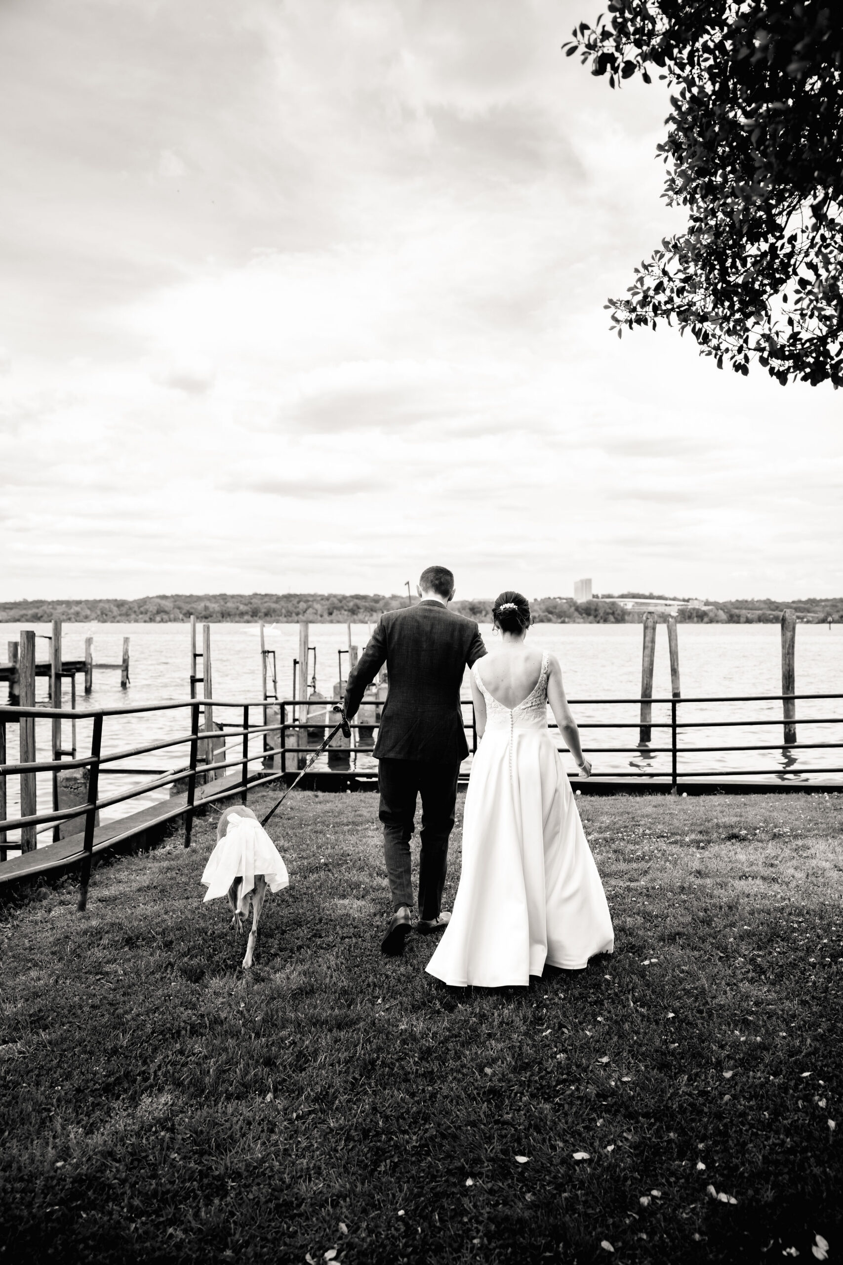 a bride and groom walking through grass towards the water with their dog 